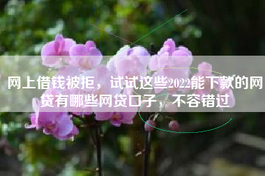网上借钱被拒，试试这些2022能下款的网贷有哪些网贷口子，不容错过