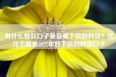 有什么借款口子是容易下款的网贷？这几个就是2022年好下款的网贷口子