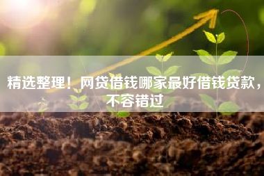 精选整理！网贷借钱哪家最好借钱贷款，不容错过