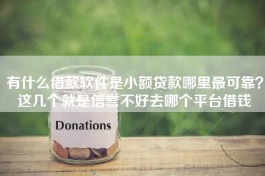 有什么借款软件是小额贷款哪里最可靠？这几个就是信誉不好去哪个平台借钱