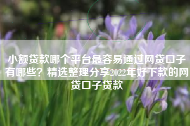 小额贷款哪个平台最容易通过网贷口子有哪些？精选整理分享2022年好下款的网贷口子贷款