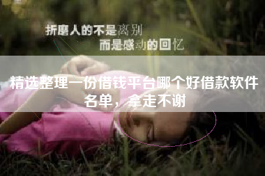 精选整理一份借钱平台哪个好借款软件名单，拿走不谢