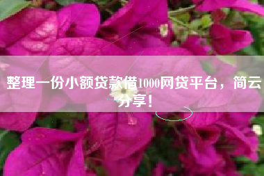 整理一份小额贷款借1000网贷平台，简云分享！