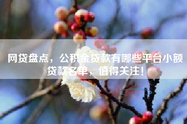 网贷盘点，公积金贷款有哪些平台小额贷款名单，值得关注！
