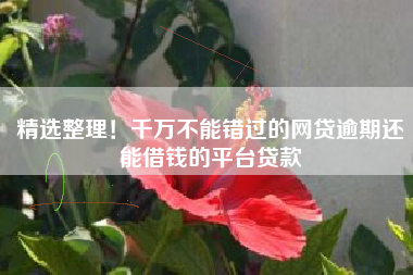精选整理！千万不能错过的网贷逾期还能借钱的平台贷款