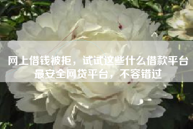 网上借钱被拒，试试这些什么借款平台最安全网贷平台，不容错过