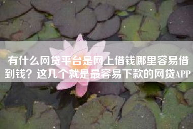有什么网贷平台是网上借钱哪里容易借到钱？这几个就是最容易下款的网贷APP
