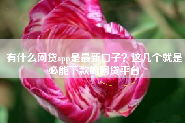 有什么网贷app是最新口子？这几个就是必能下款的网贷平台