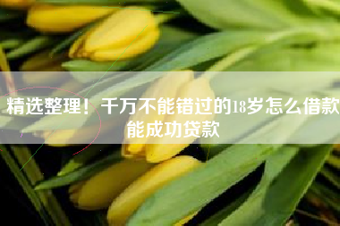 精选整理！千万不能错过的18岁怎么借款能成功贷款