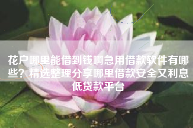 花户哪里能借到钱啊急用借款软件有哪些？精选整理分享哪里借款安全又利息低贷款平台