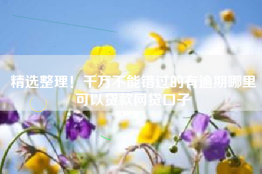 精选整理！千万不能错过的有逾期哪里可以贷款网贷口子