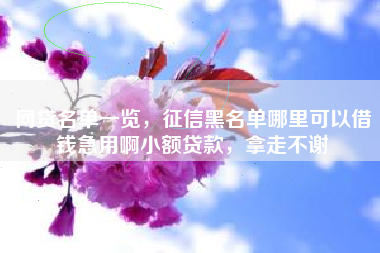 网贷名单一览，征信黑名单哪里可以借钱急用啊小额贷款，拿走不谢