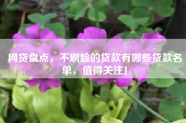 网贷盘点，不刷脸的贷款有哪些贷款名单，值得关注！