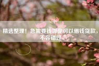 精选整理！急需要钱哪里可以借钱贷款，不容错过