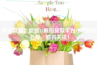 网贷盘点，能借24期的贷款平台小额贷款名单，值得关注！