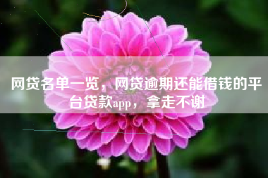 网贷名单一览，网贷逾期还能借钱的平台贷款app，拿走不谢