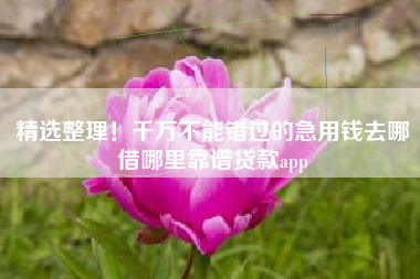 精选整理！千万不能错过的急用钱去哪借哪里靠谱贷款app