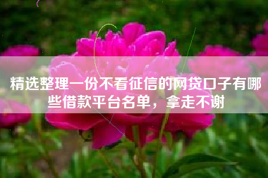 精选整理一份不看征信的网贷口子有哪些借款平台名单，拿走不谢