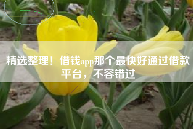 精选整理！借钱app那个最快好通过借款平台，不容错过