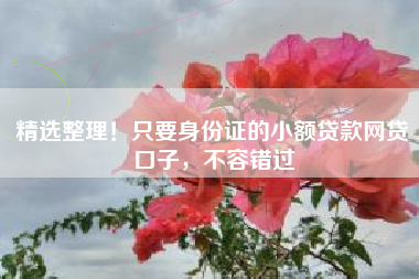精选整理！只要身份证的小额贷款网贷口子，不容错过