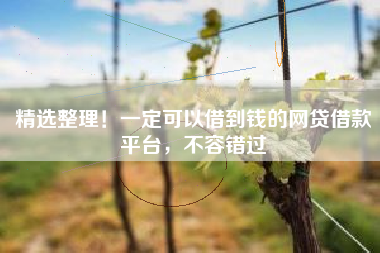 精选整理！一定可以借到钱的网贷借款平台，不容错过