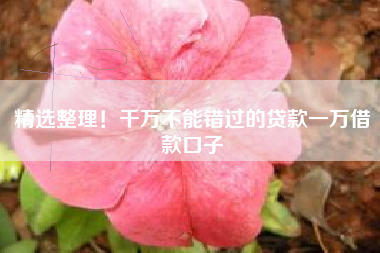 精选整理！千万不能错过的贷款一万借款口子