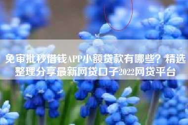 免审批秒借钱APP小额贷款有哪些？精选整理分享最新网贷口子2022网贷平台