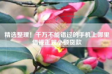 精选整理！千万不能错过的手机上哪里借钱正规小额贷款