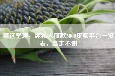 精选整理，纯私人放款5000贷款平台一览表，拿走不谢