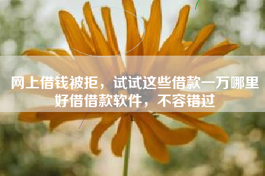 网上借钱被拒，试试这些借款一万哪里好借借款软件，不容错过