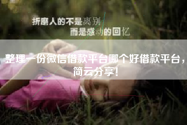 整理一份微信借款平台哪个好借款平台，简云分享！