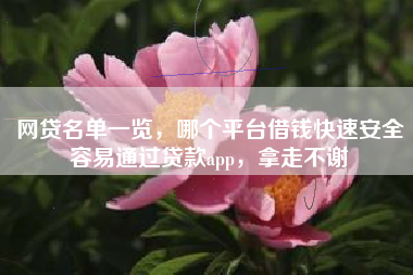 网贷名单一览，哪个平台借钱快速安全容易通过贷款app，拿走不谢