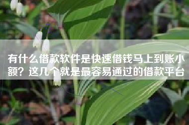 有什么借款软件是快速借钱马上到账小额？这几个就是最容易通过的借款平台