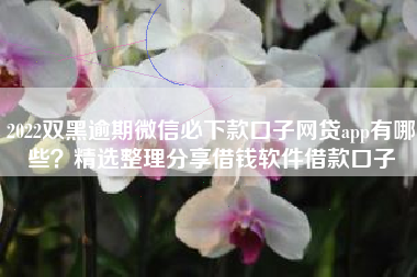 2022双黑逾期微信必下款口子网贷app有哪些？精选整理分享借钱软件借款口子