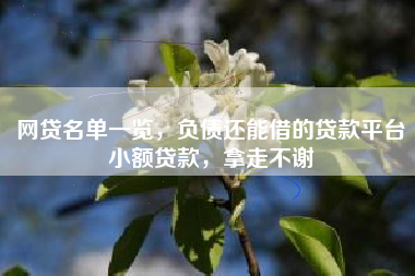网贷名单一览，负债还能借的贷款平台小额贷款，拿走不谢