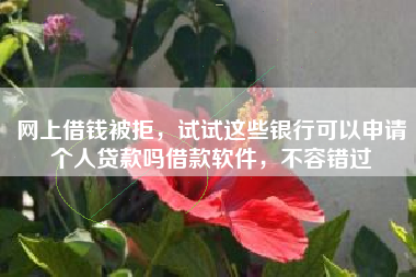 网上借钱被拒，试试这些银行可以申请个人贷款吗借款软件，不容错过