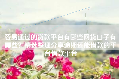 容易通过的贷款平台有哪些网贷口子有哪些？精选整理分享逾期还能借款的平台借款平台