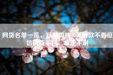 网贷名单一览，短期周转30天借款不看征信网贷平台，拿走不谢