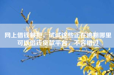 网上借钱被拒，试试这些正在逾期哪里可以借钱贷款平台，不容错过