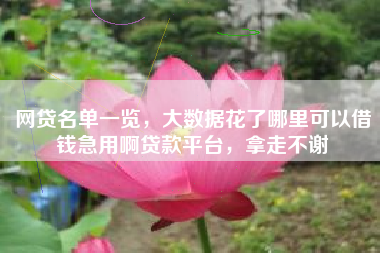 网贷名单一览，大数据花了哪里可以借钱急用啊贷款平台，拿走不谢