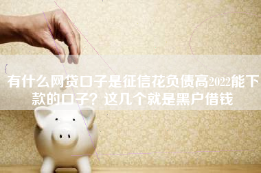 有什么网贷口子是征信花负债高2022能下款的口子？这几个就是黑户借钱