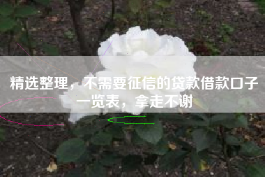 精选整理，不需要征信的贷款借款口子一览表，拿走不谢