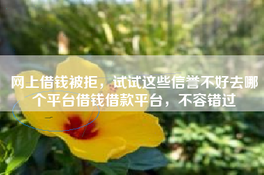 网上借钱被拒，试试这些信誉不好去哪个平台借钱借款平台，不容错过