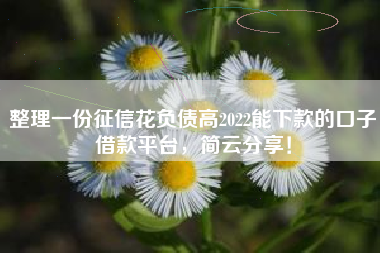 整理一份征信花负债高2022能下款的口子借款平台，简云分享！