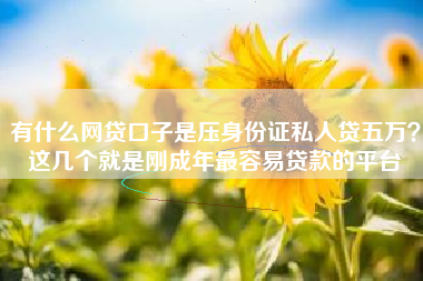 有什么网贷口子是压身份证私人贷五万？这几个就是刚成年最容易贷款的平台