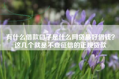 有什么借款口子是什么网贷最好借钱？这几个就是不查征信的正规贷款