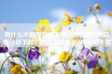 有什么小额贷款是不看征信负债的网贷百分百下款？这几个就是2022网贷必下款的口子