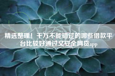 精选整理！千万不能错过的哪些借款平台比较好通过又安全网贷app