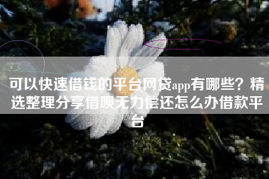 可以快速借钱的平台网贷app有哪些？精选整理分享借呗无力偿还怎么办借款平台