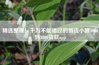 精选整理！千万不能错过的借钱小额1000到3000贷款app